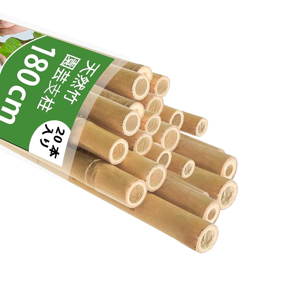 時代提物 超絶技巧根付 天然素材 在銘【茸と蝸牛】横幅約3.7cm 重さ約10ｇ 時代提物 超絶技巧根付 天然素材 在銘【茸と蝸牛】横幅約3.7